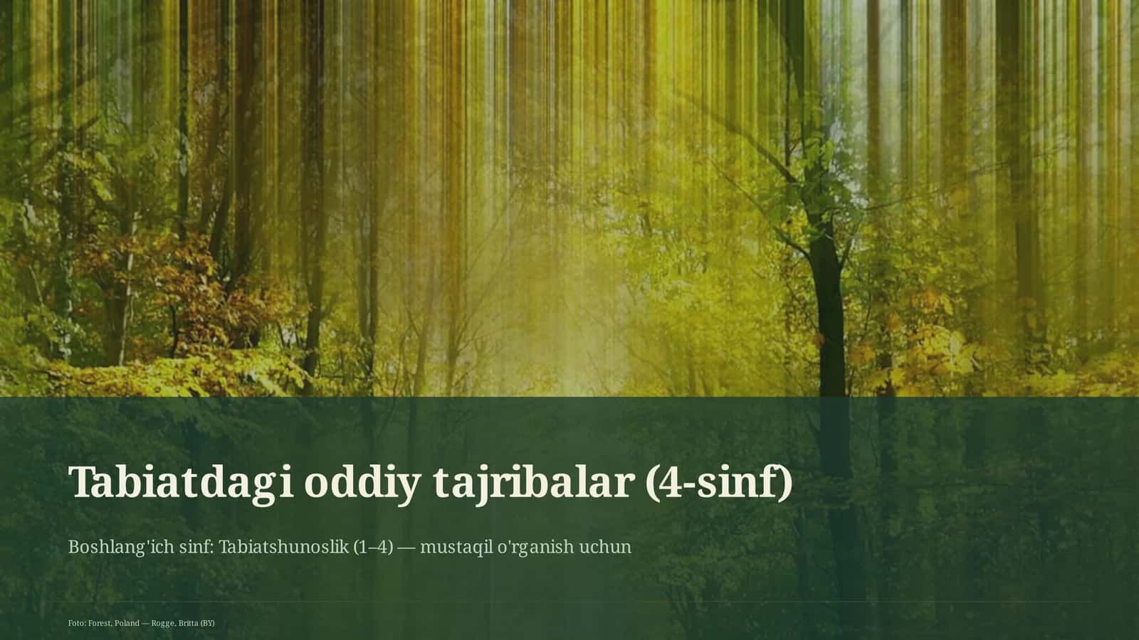 Tabiatdagi oddiy tajribalar (4-sinf)