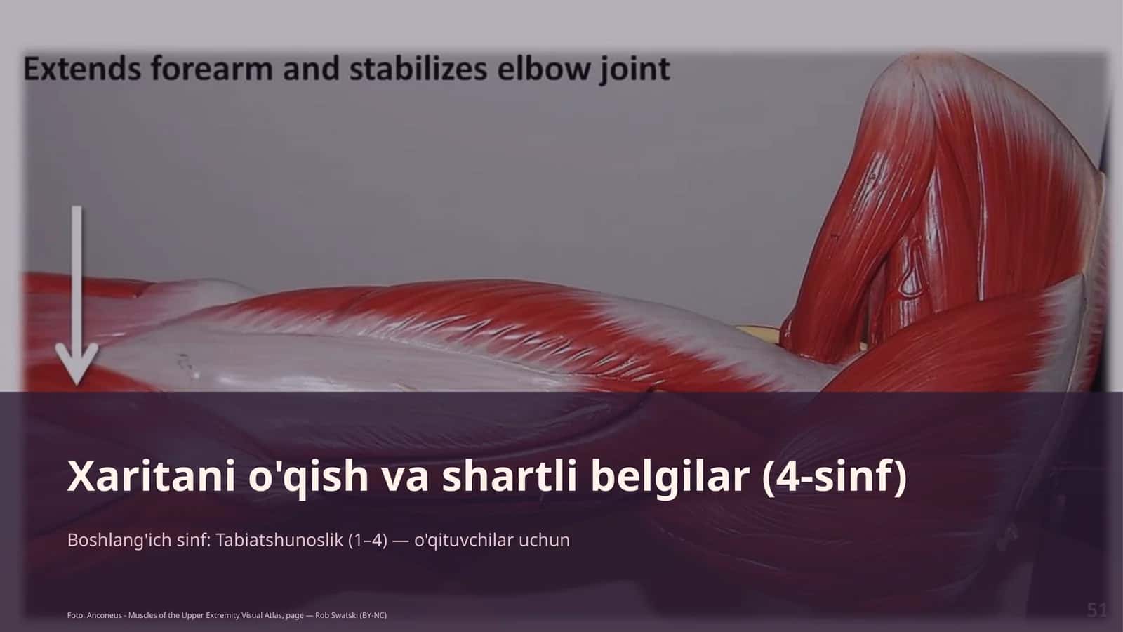 Tabiatshunoslik (1–4) — o'qituvchilar uchun