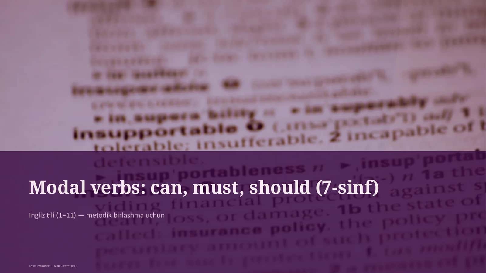 Modal verbs: can, must, should (7-sinf)
