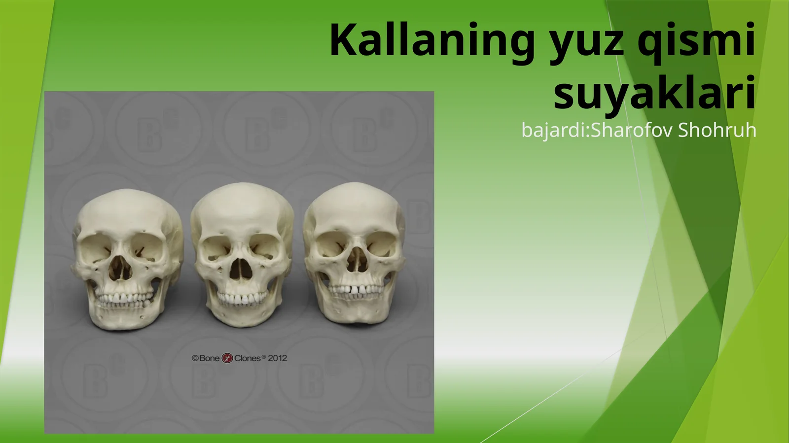 Ustkijag‘suyagi