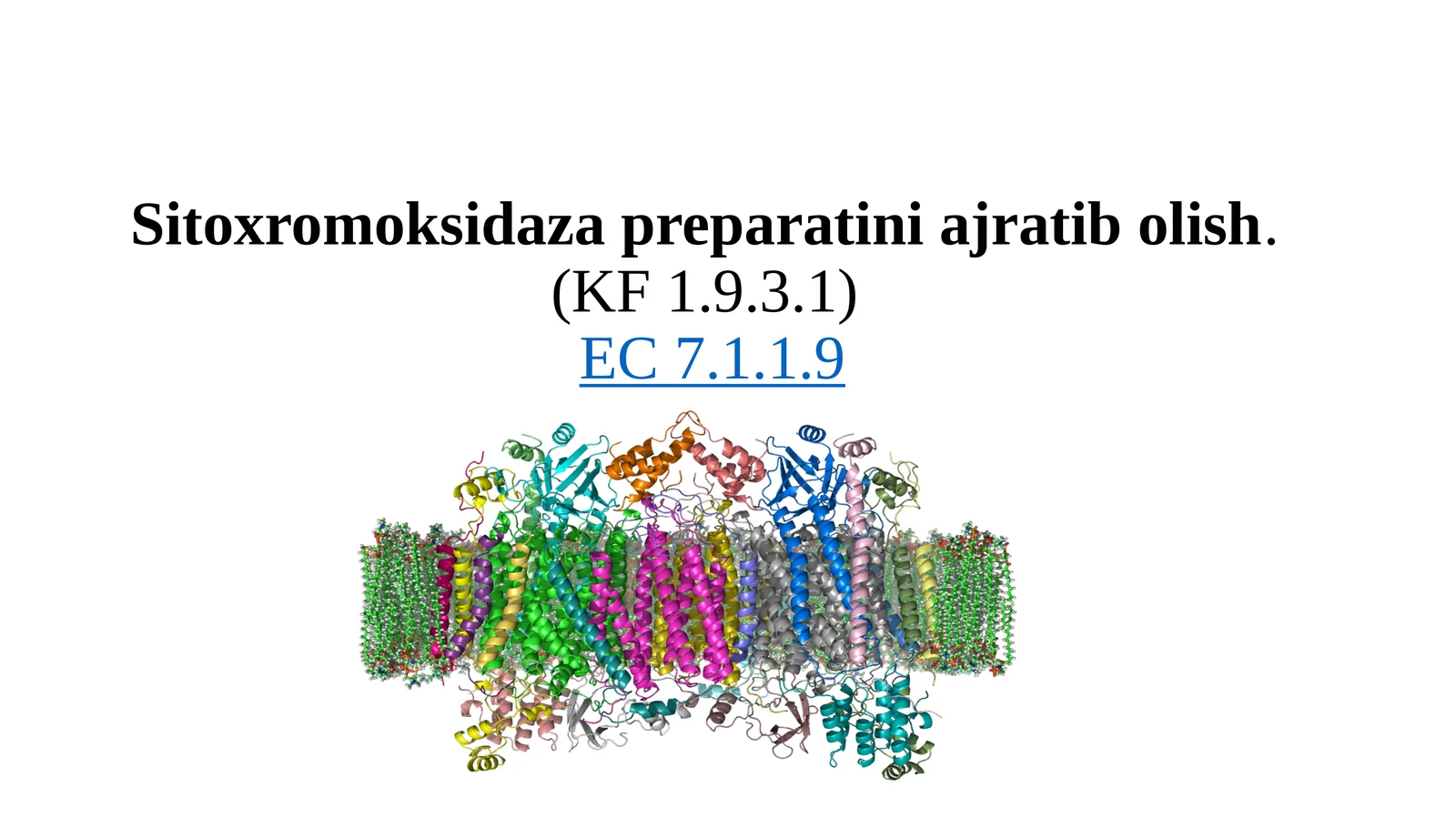 Sitoxromoksidaza preparatini ajratib olish.(KF 1.9.3.1)EC 7.1.1.9