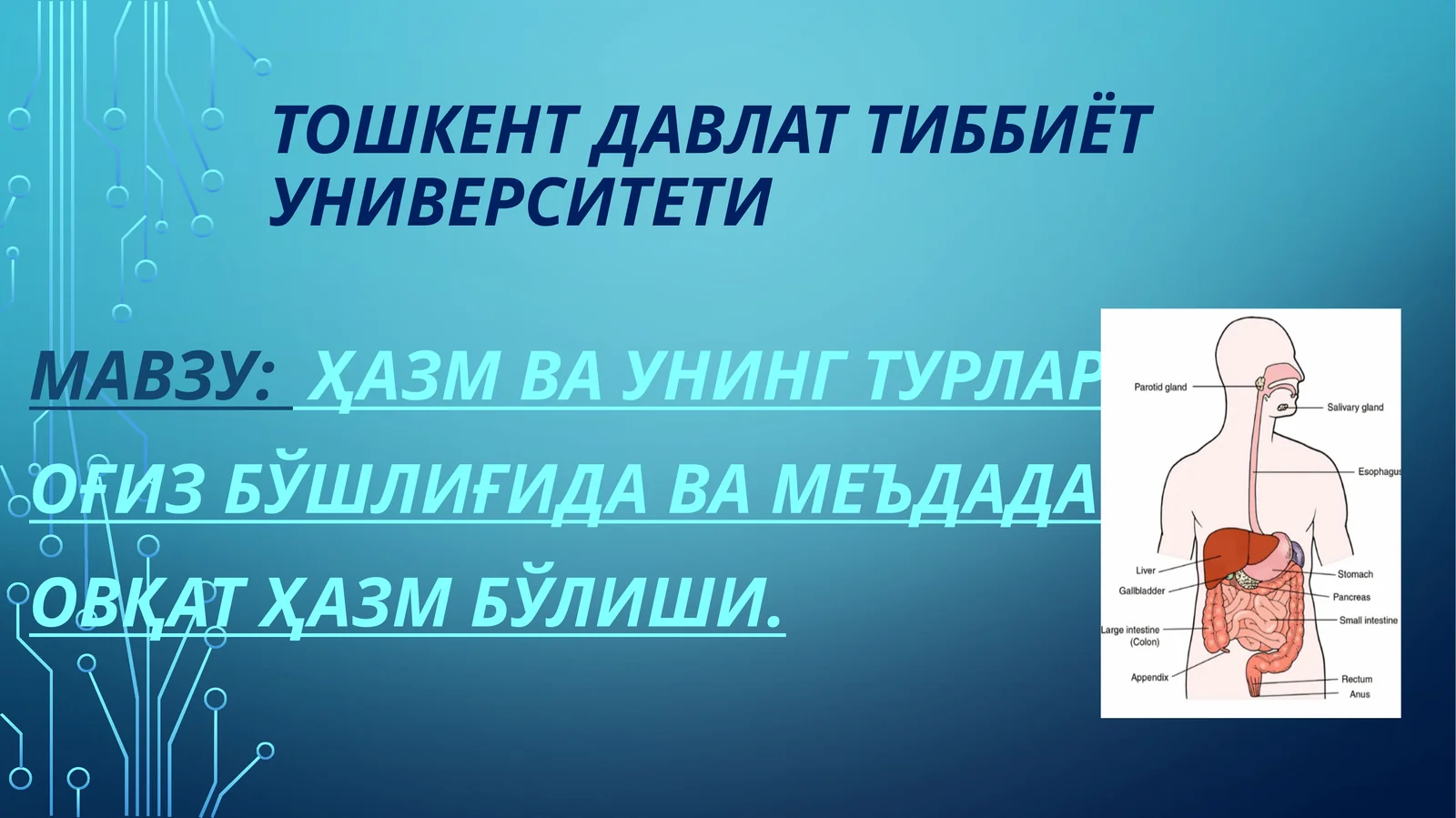 hazm va uning turlari. og'iz bo'shlig'ida va medada hazmlanish