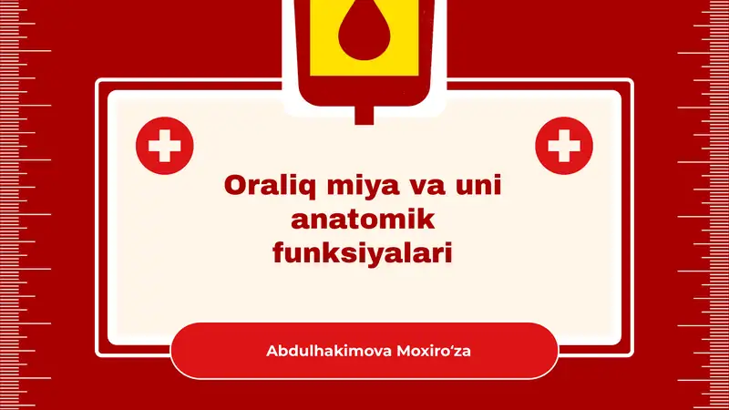 Oraliq miya va uni anatomik funksiyalari
