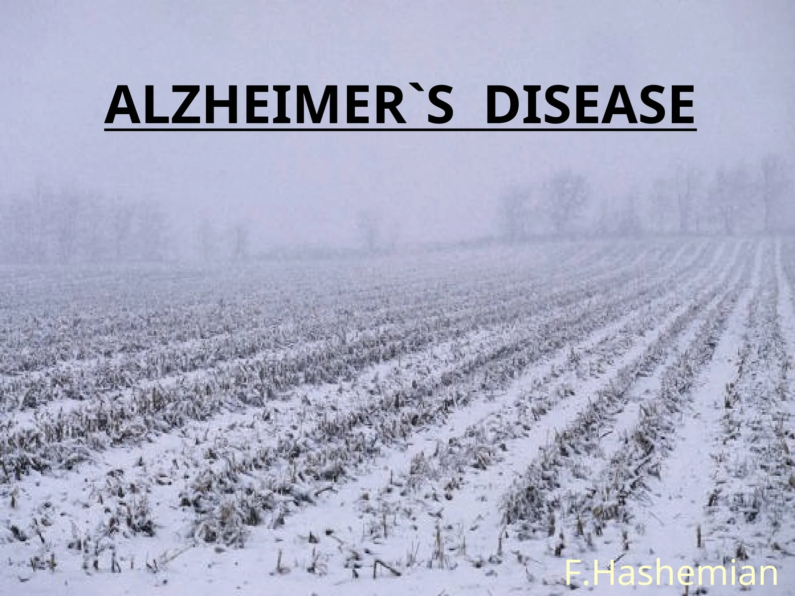 ALZHEIMER`S DISEASE
