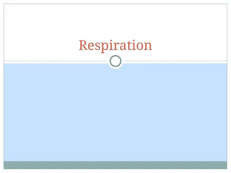 Respiration