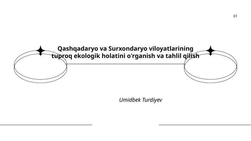 Qashqadaryo va Surxondaryo viloyatlarining tuproq ekologik holatini o'rganish va tahlil qilish