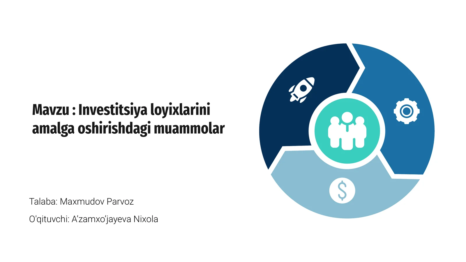 Investitsiya loyixlarini amalga oshirishdagi muammolar