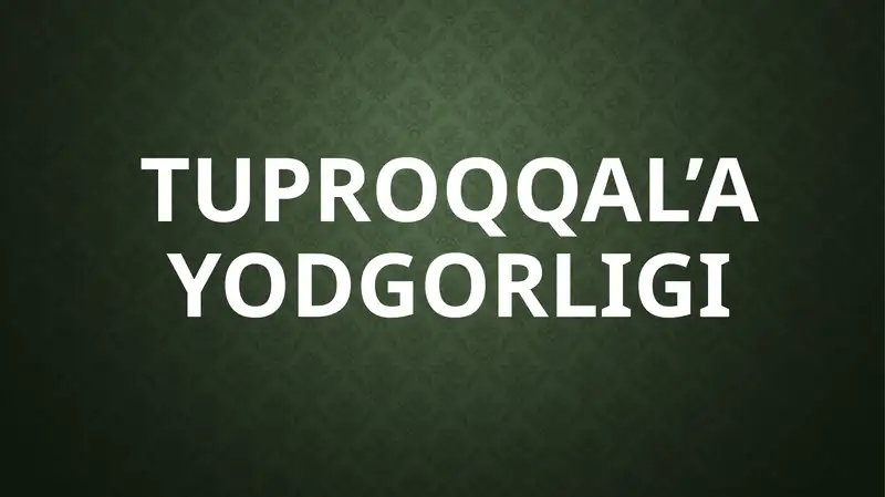 Tuproqqal’a yodgorligi