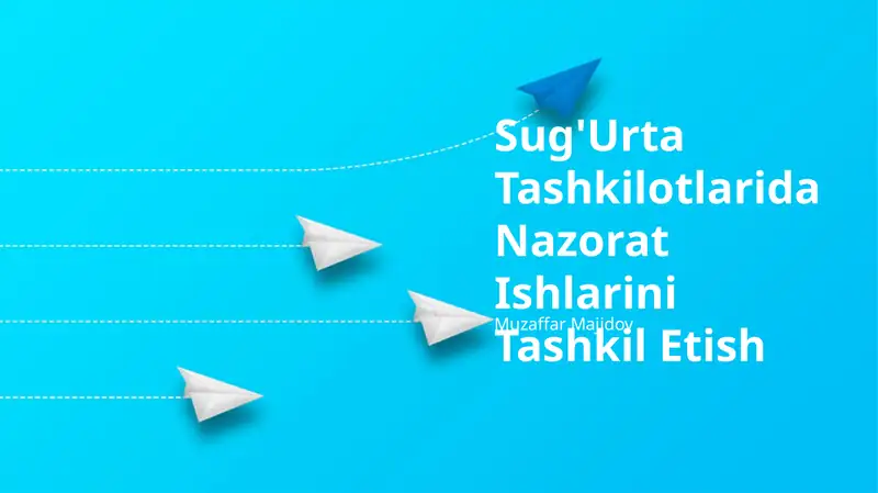 Sug'Urta Tashkilotlarida Nazorat Ishlarini Tashkil Etish