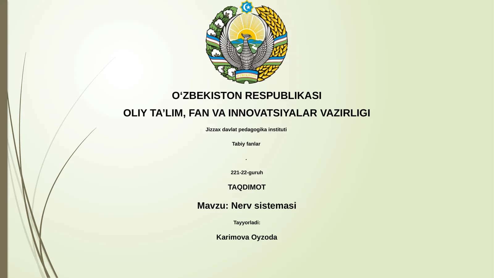 Nerv sistemasi