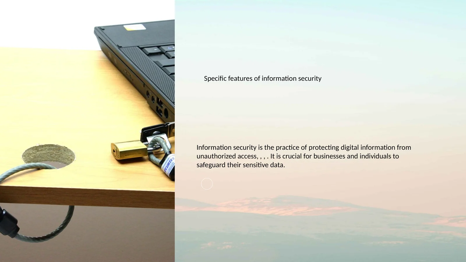 Information Security Importance