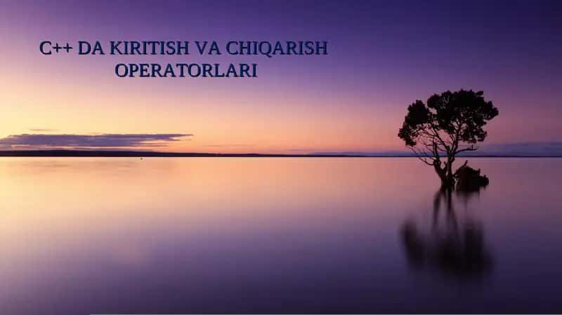 C++ DA KIRITISH VA CHIQARISH  OPERATORLARI