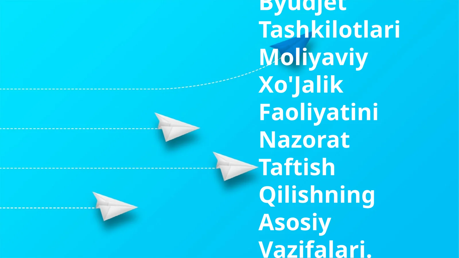 Byudjet Tashkilotlari Moliyaviy Xo'Jalik Faoliyatini Nazorat Taftish Qilishning Asosiy Vazifalari
