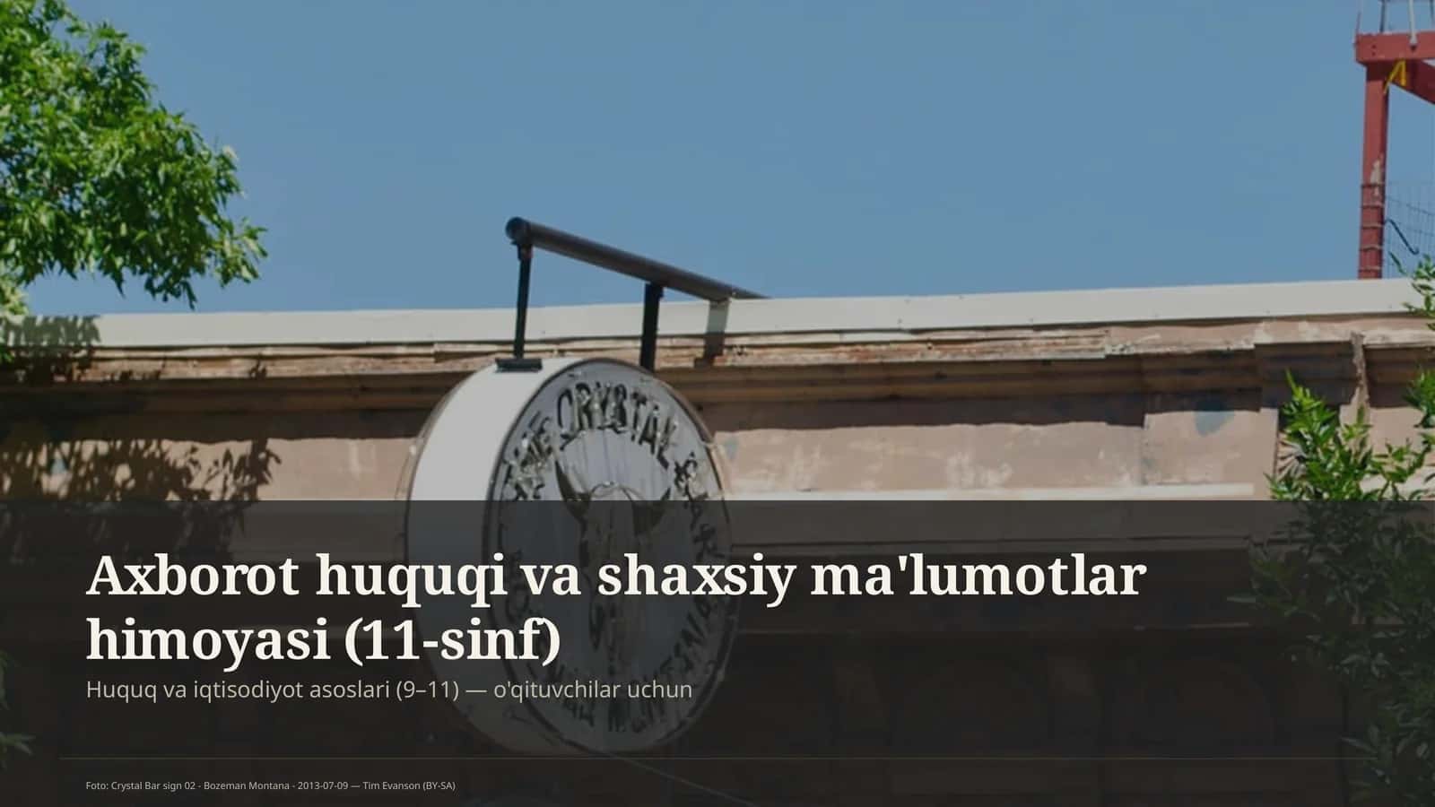 Axborot huquqi va shaxsiy ma'lumotlar himoyasi (11-sinf)
