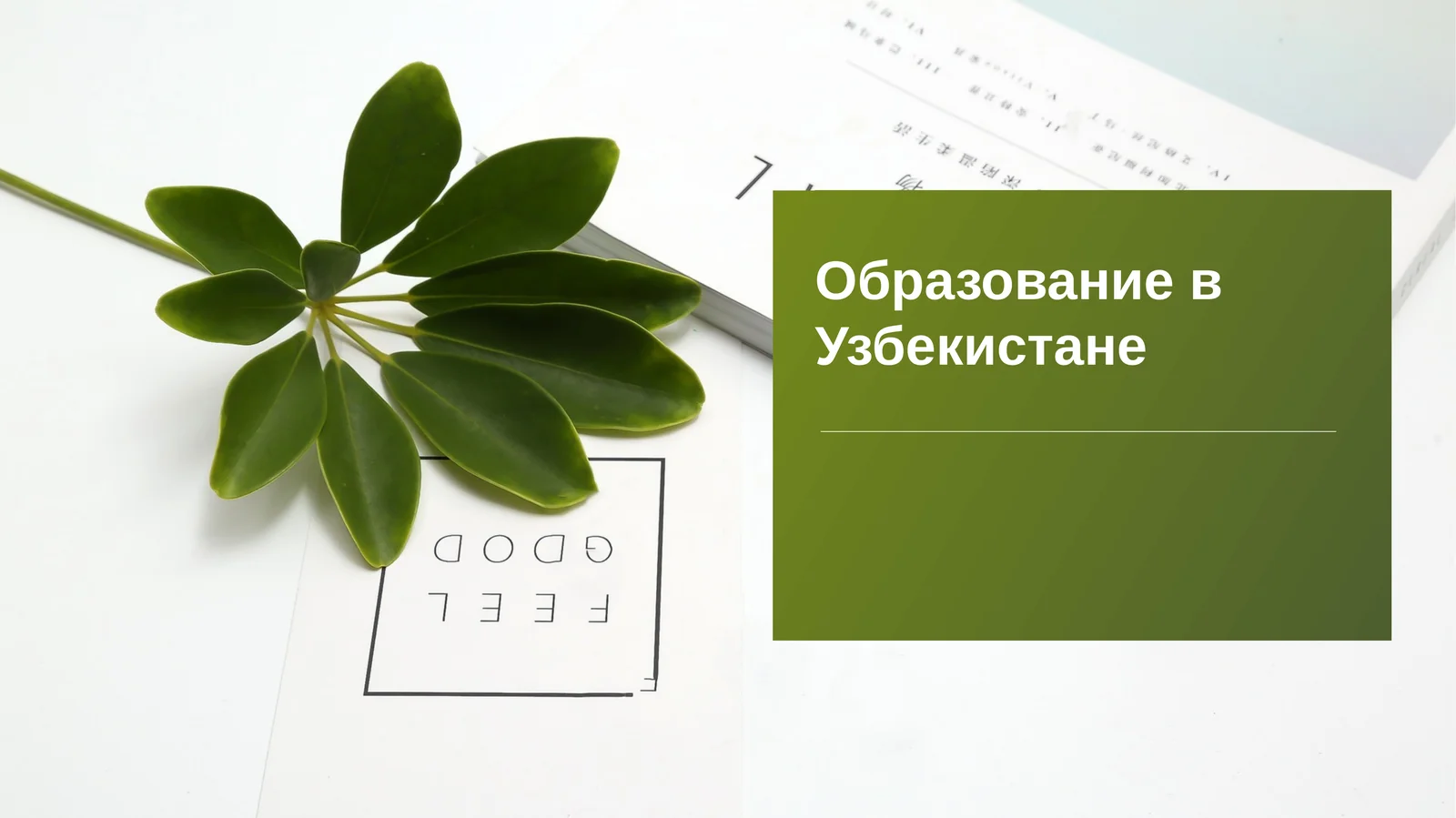 Образование в Узбекистане