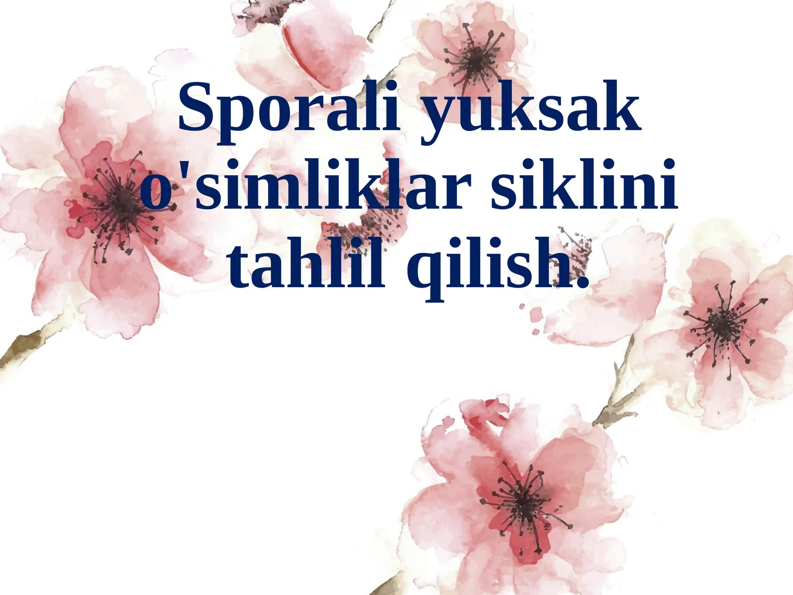 Sporali yuksak o'simliklar siklini tahlil qilish
