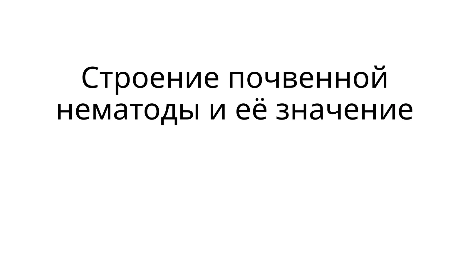 Строение почвенной нематоды и её значение