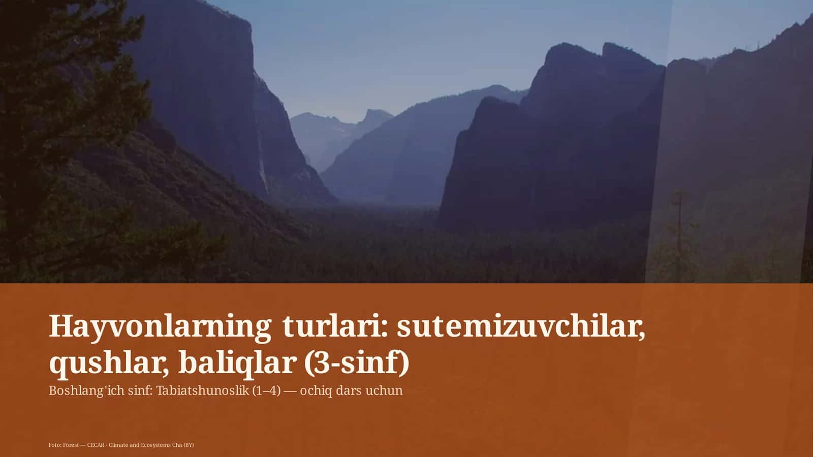 Tabiatshunoslik Darsi
