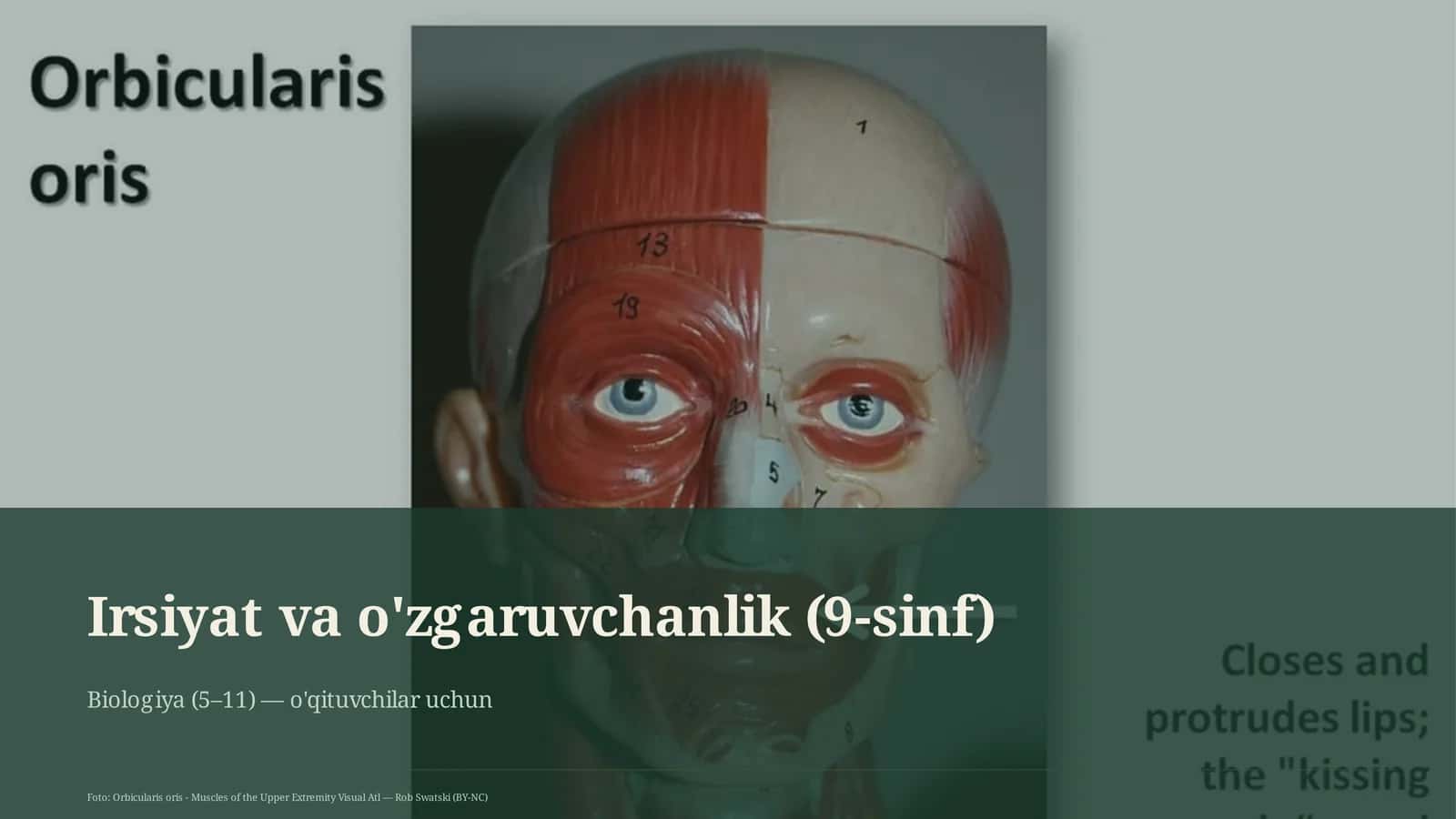 Irsiyat va o'zgaruvchanlik (9-sinf)