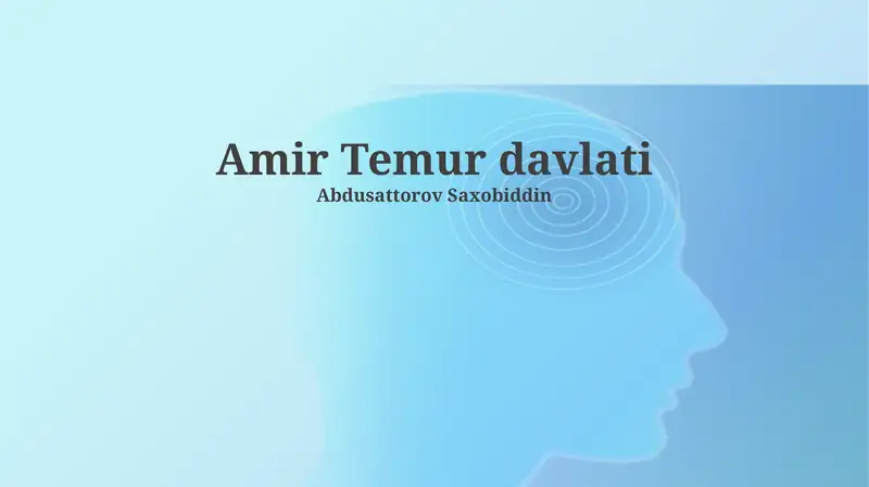 Amir Temur davlati