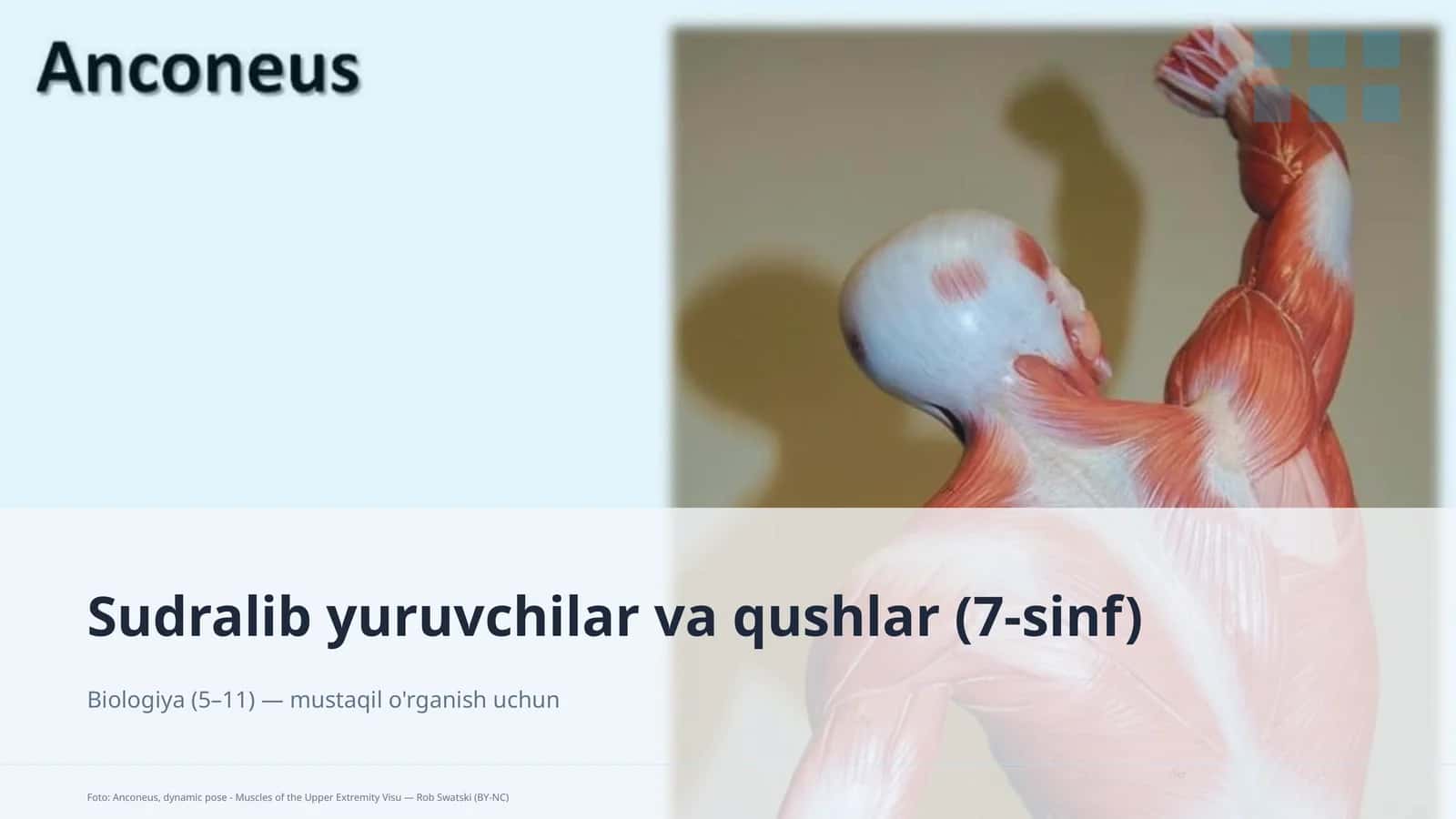 Sudralib yuruvchilar va qushlar (7-sinf)