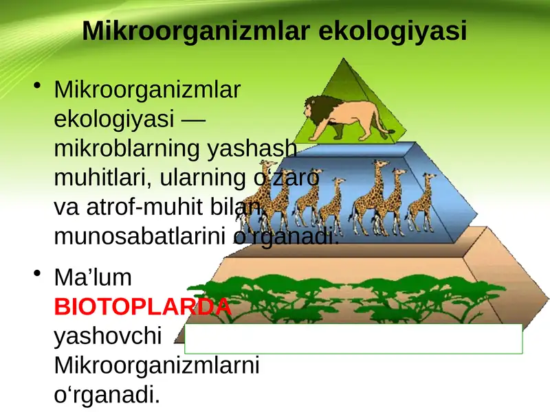 Mikroorganizmlar ekologiyasi