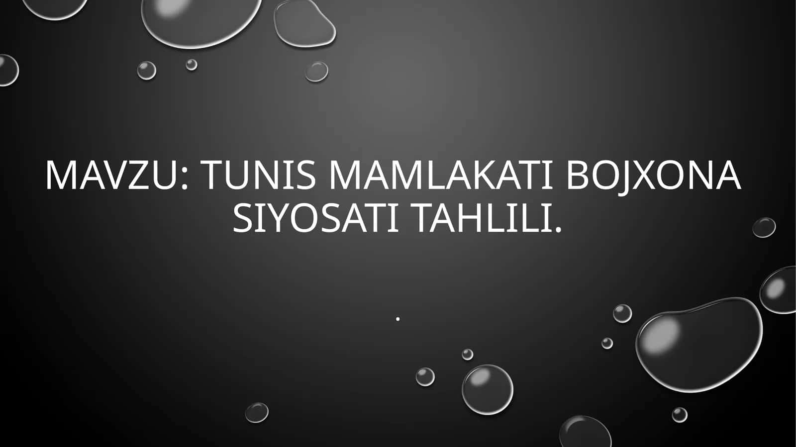 TUNIS mamlakati bojxona siyosati tahlili