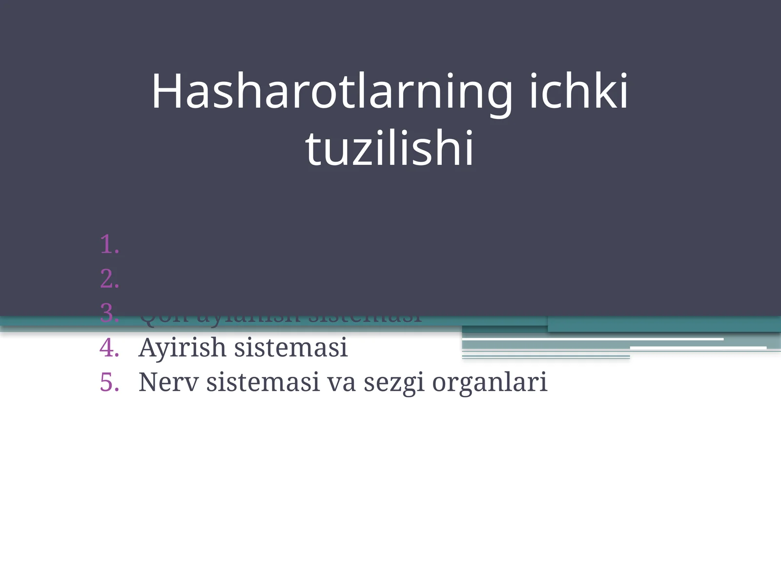 Hasharotlarning ichki tuzilishi