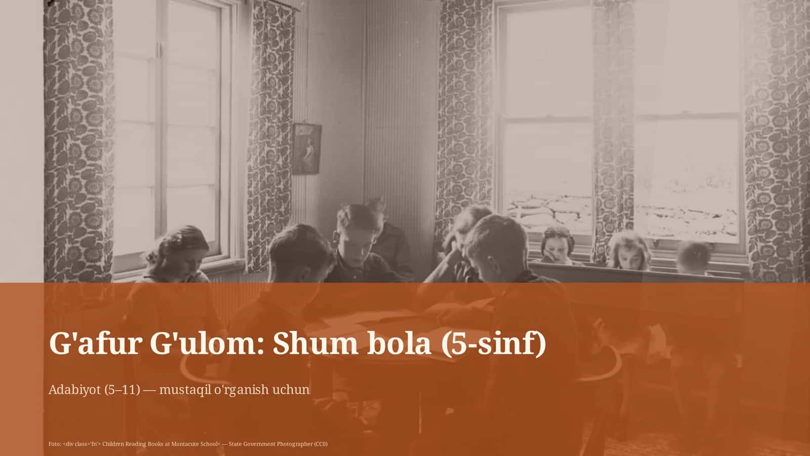 Shum bola (5-sinf)