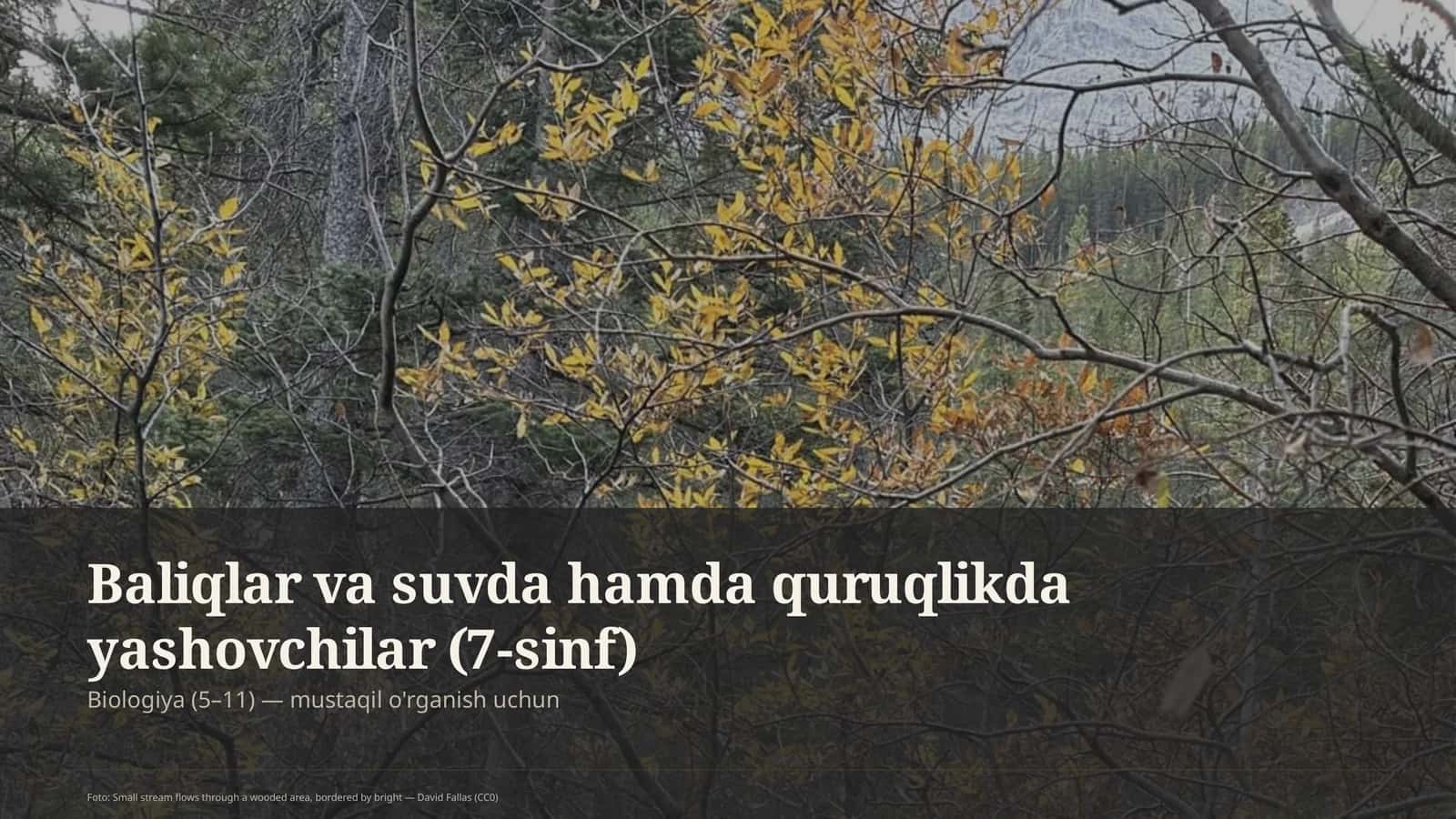 Baliqlar va suvda hamda quruqlikda yashovchilar (7-sinf)