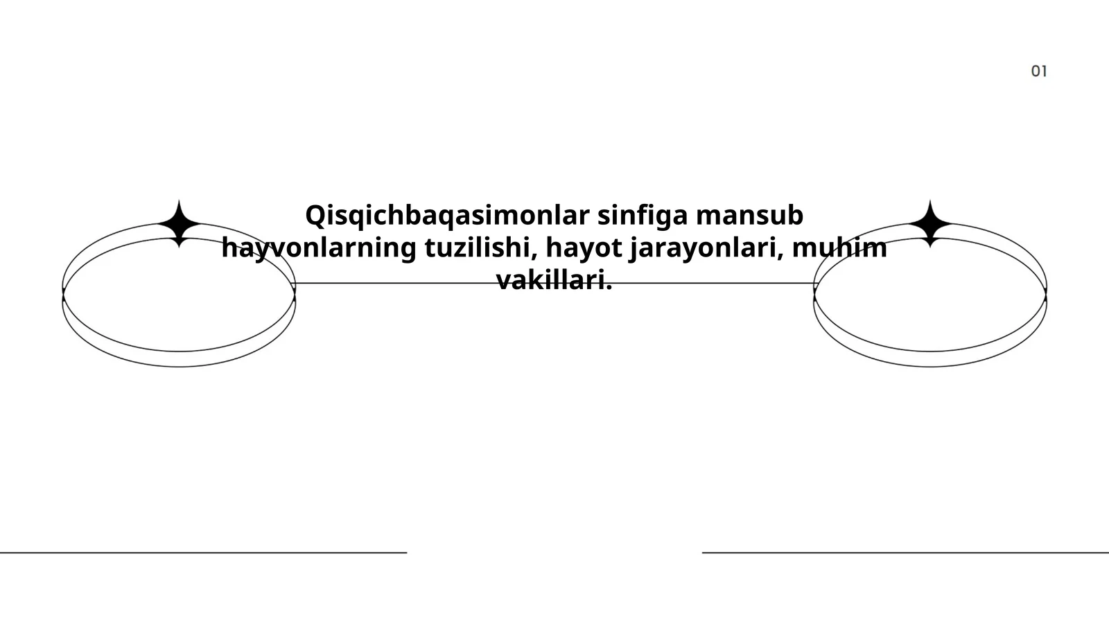 Qisqichbaqasimonlar sinfiga mansub hayvonlarning tuzilishi