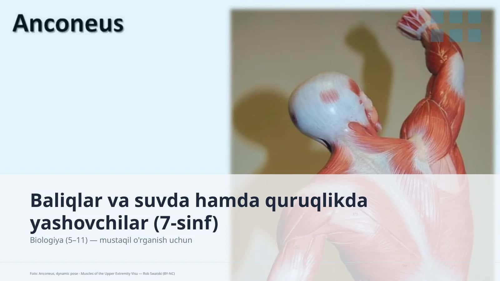 Baliqlar va suvda hamda quruqlikda yashovchilar (7-sinf)