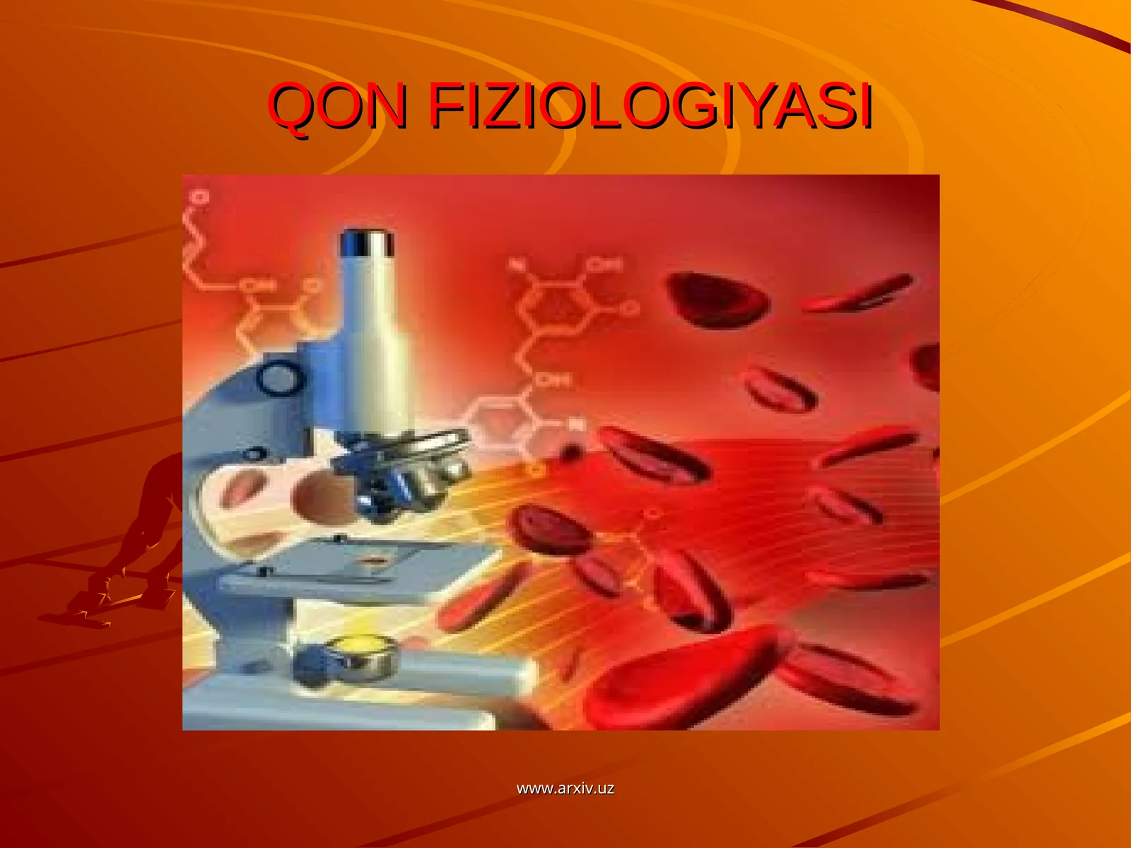 QON FIZIOLOGIYASI