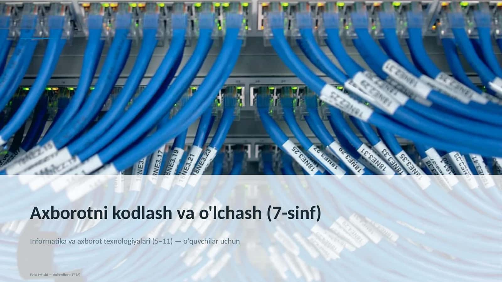 Axborotni kodlash va o'lchash (7-sinf)