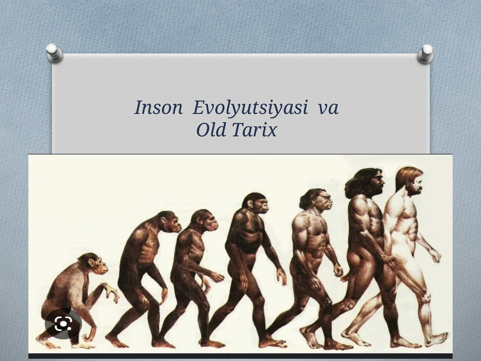 Avstrolopiteklarto`g`risidagiyangiantropogoneznazariyalar