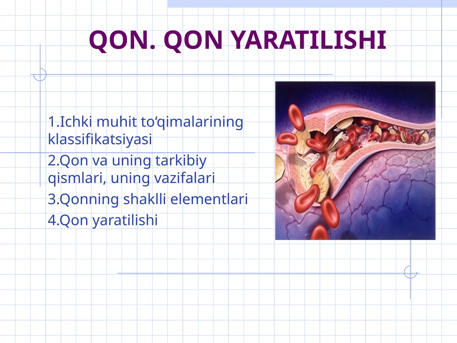 QON. QON YARATILISHI