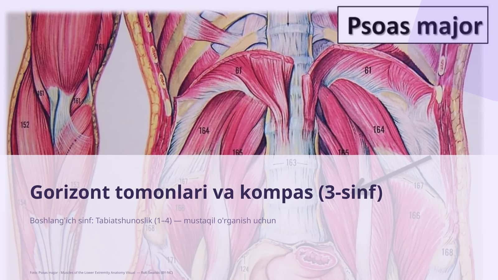 Gorizont tomonlari va kompas (3-sinf)