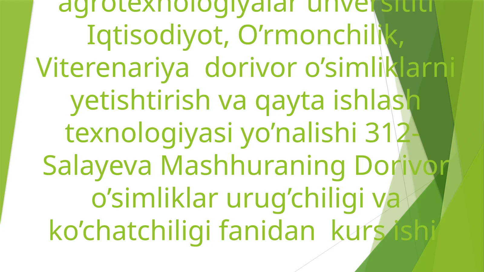 Shirinmiya-(Chuchukmiya), (Solodkagoloya)GlyeyrrhizaglabraL.o’simliginiurug’chiligivako’chatchiligitaxlili