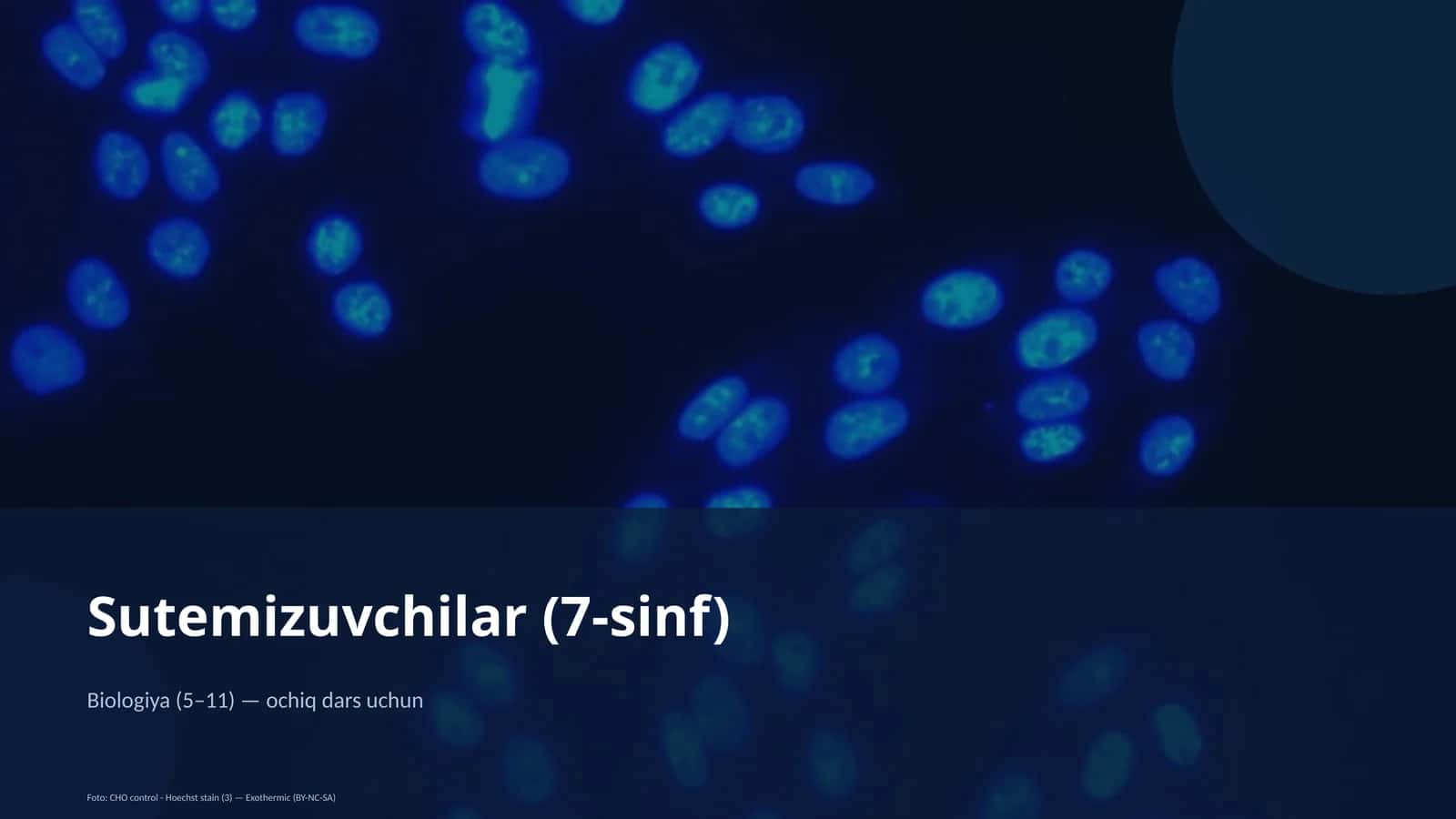 Sutemizuvchilar (7-sinf)