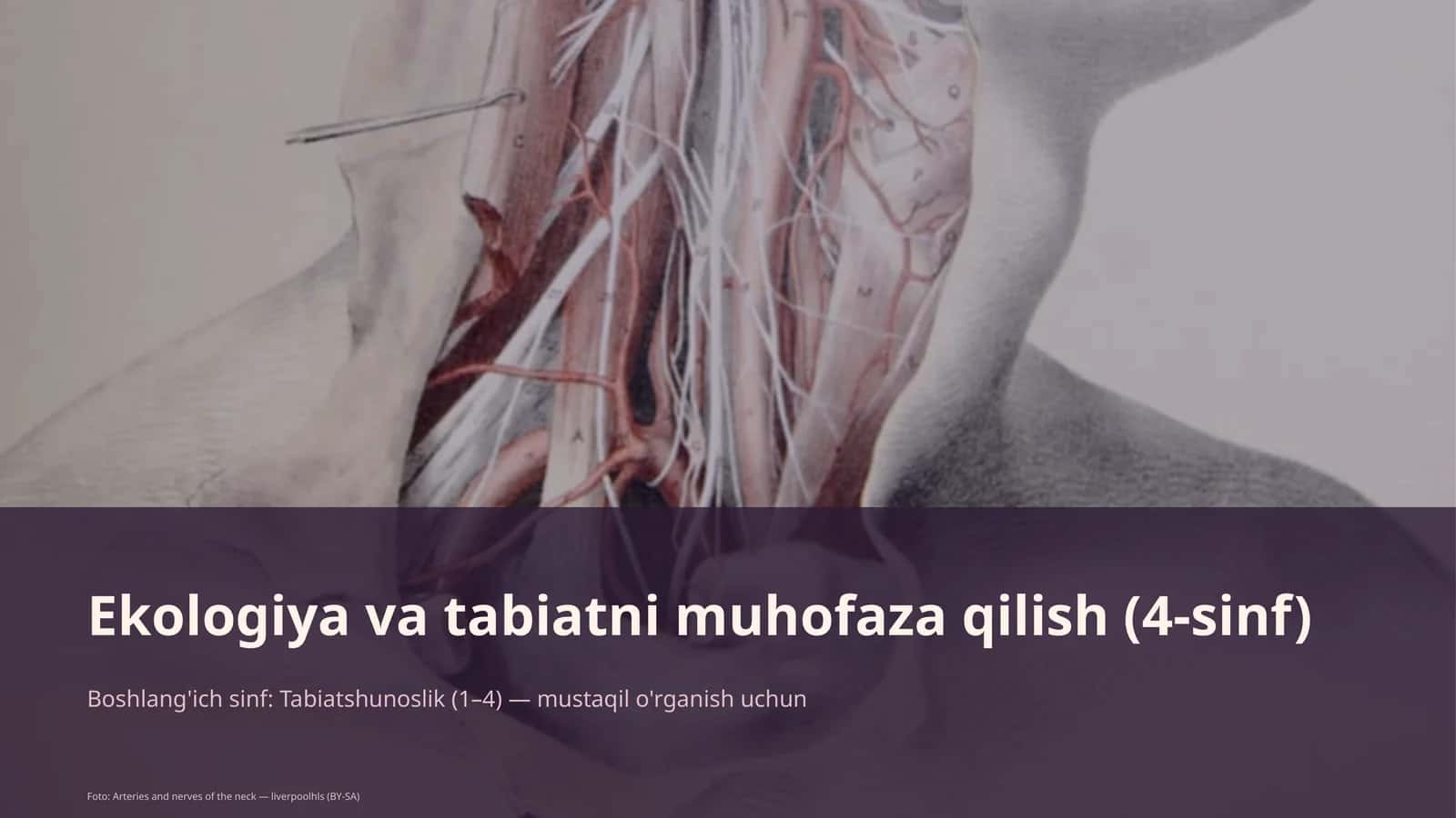 Ekologiya va tabiatni muhofaza qilish (4-sinf)