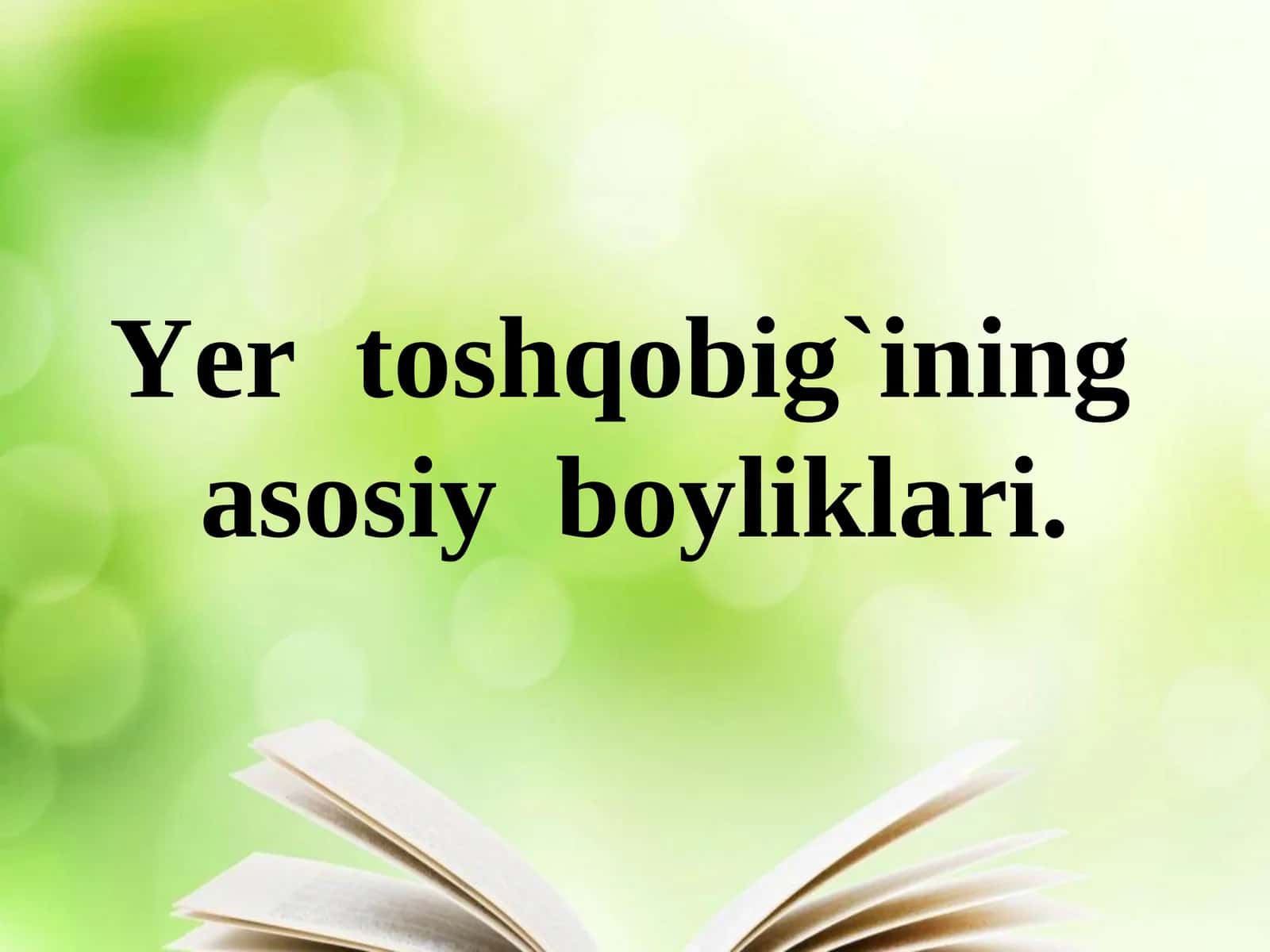 Yoqilg`i boyliklari
