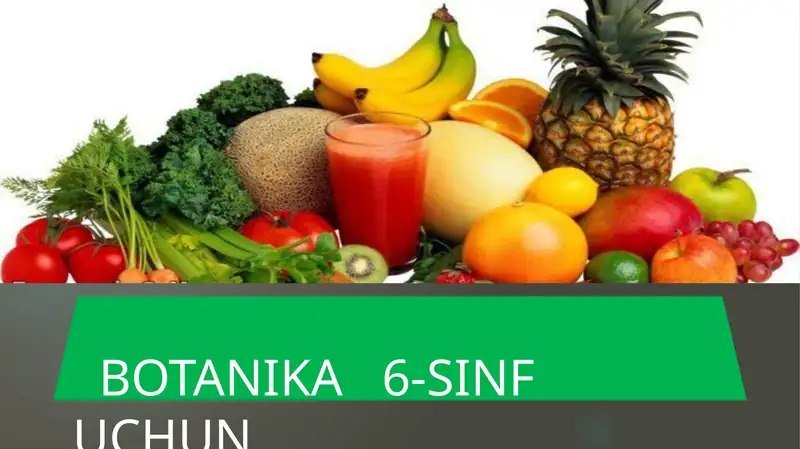 GULXAYRIDOSHLAR