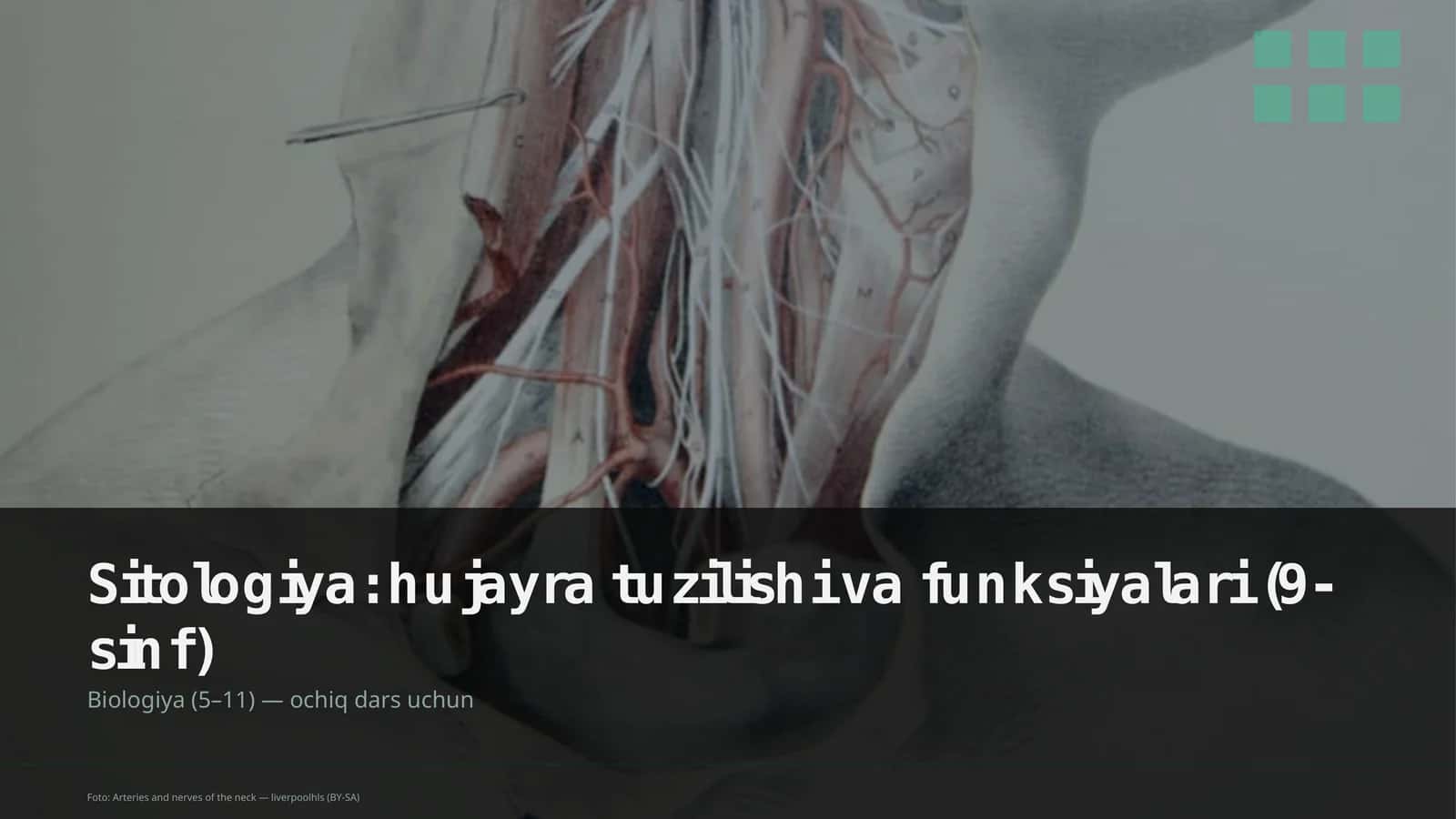 Sitologiya: hujayra tuzilishi va funksiyalari (9-sinf)