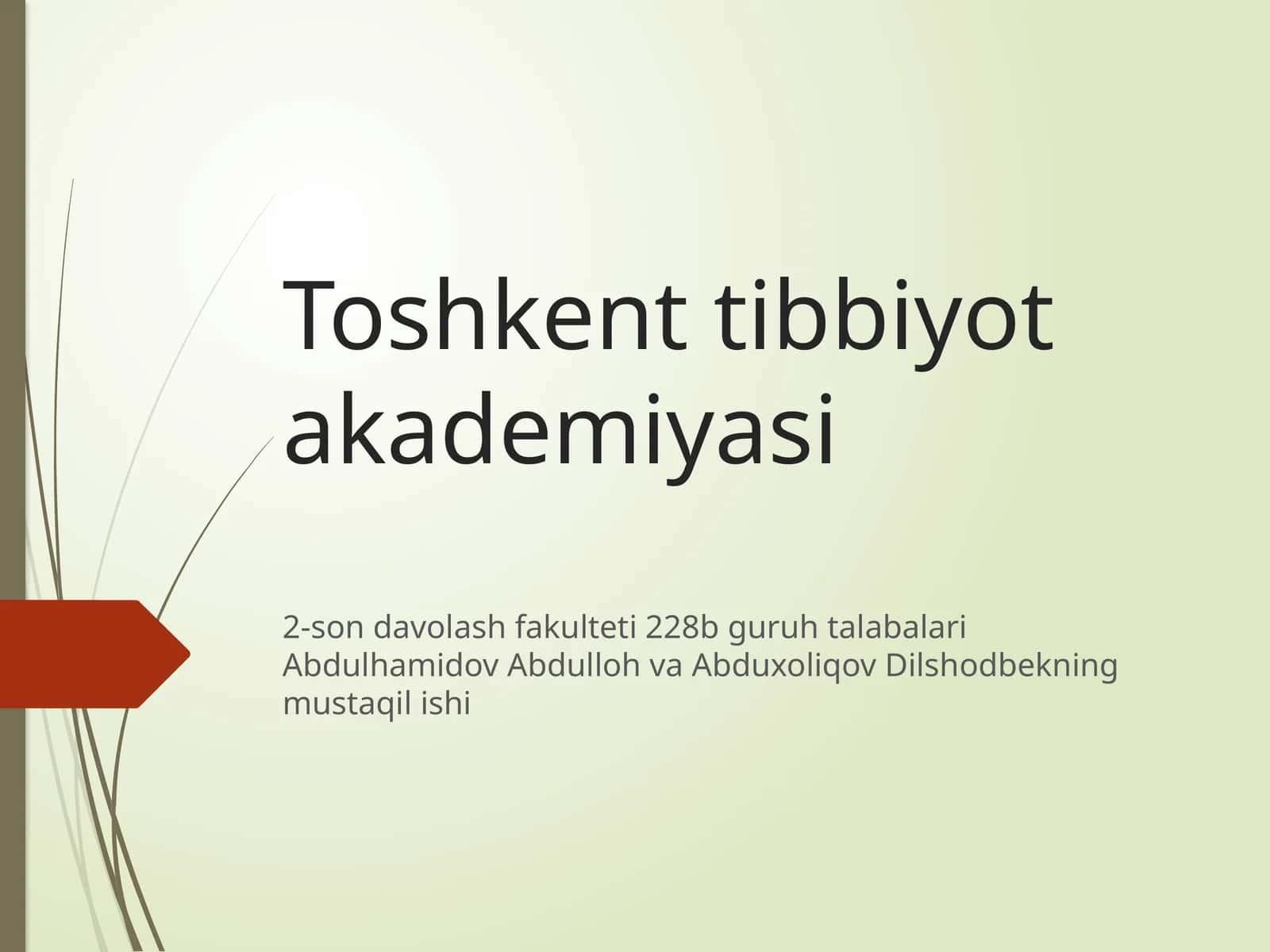 2-son davolash fakulteti 228B guruh talabalari