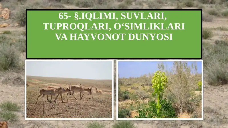 Iqlimi, Suvlari, Tuproqlari, O‘simliklari va Hayvonot Dunyosi
