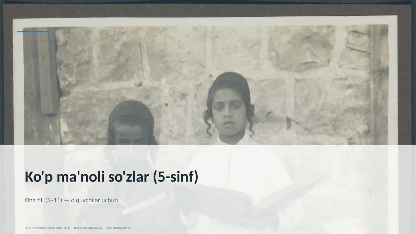 Ko'p ma'noli so'zlar (5-sinf)