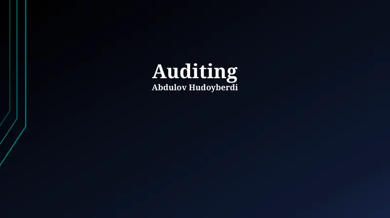 Audit Process and Methodology