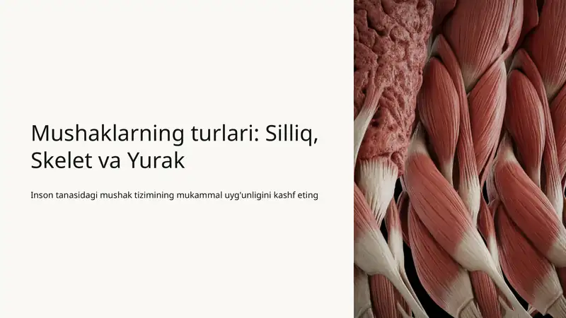 Mushaklar turlari