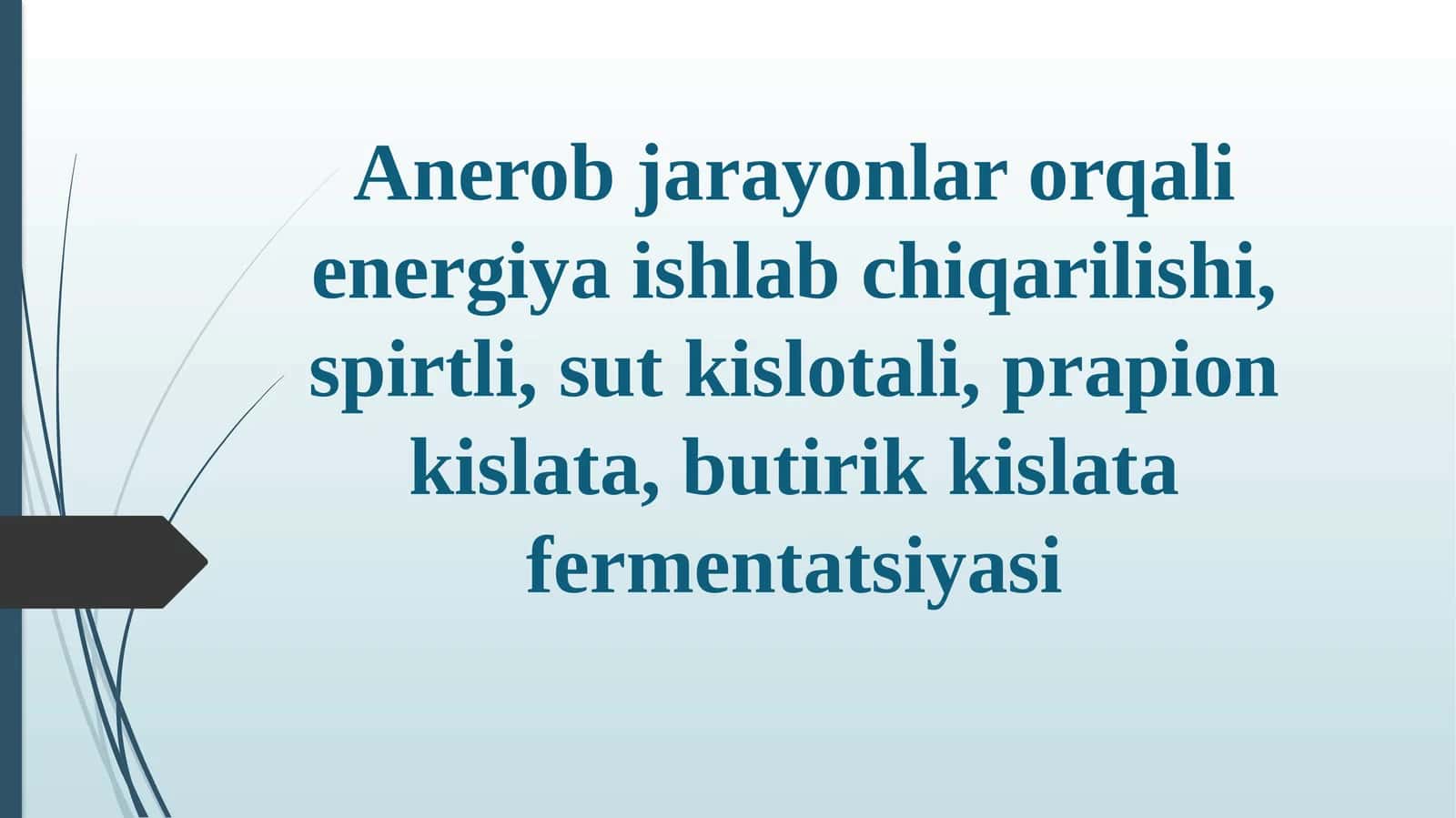 Anerobjarayonlar orqali energiya ishlab chiqarilishi