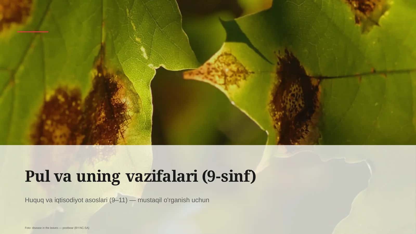 Pul va uning vazifalari (9-sinf)